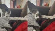 Reprodução / TikTok @ekkykay
