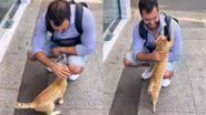 Reprodução / Twitter @Animalesybichos
