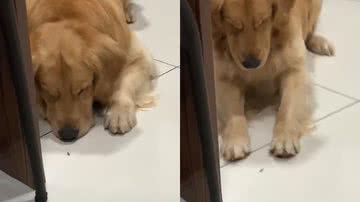 Reprodução/TikTok @line_bueno