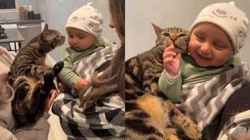 Reprodução/Instagram @dontstopmeowing