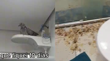 Reprodução/TikTok @dayanenatielle