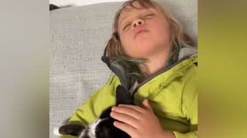 Reprodução/TikTok @vidal.com.br