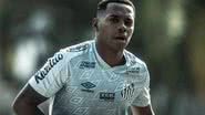 Ivan Storti/Santos FC