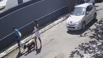 Reprodução/vídeo