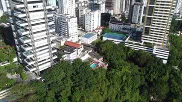 Reprodução