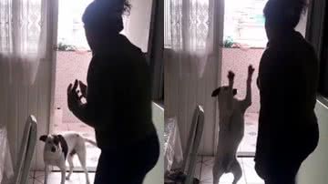 Reprodução/TikTok @memezeiro01