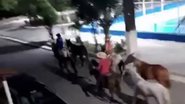 Reprodução/TV Verdes Mares