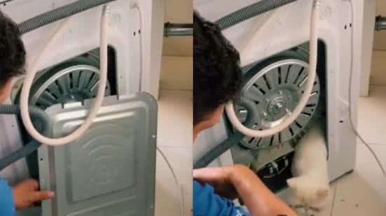 Reprodução/ TikTok @lunalyhoa
