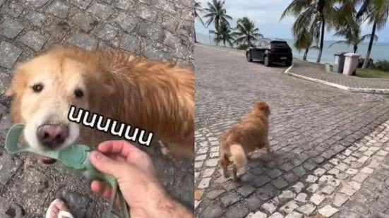 Reprodução/ TikTok @mussarela_golden