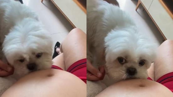 Reprodução/TikTok @sarahjamilless