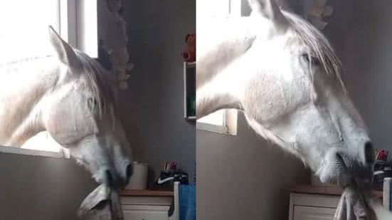 Reprodução/TikTok @gih_ppereiraa