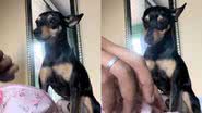 Reprodução/TikTok @crislanebernardo1