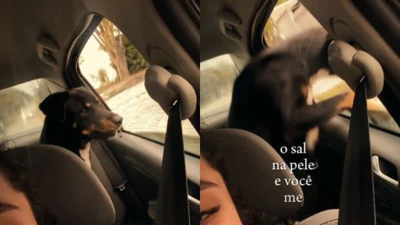 Reprodução/TikTok @dressatah