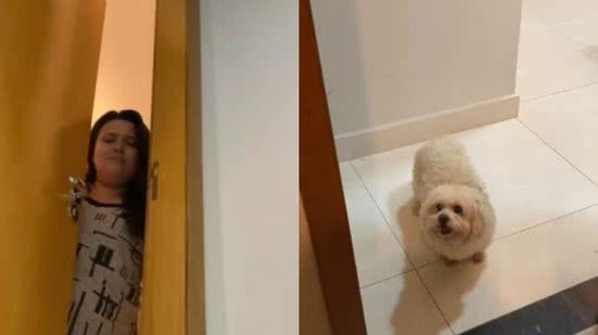Reprodução//TikTok @vetcarlamagalhaes