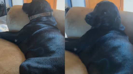 Reprodução / Instagram