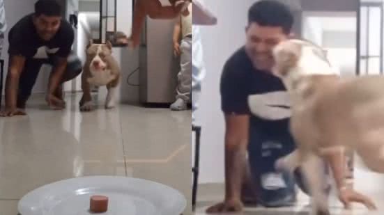 Reprodução / Redes sociais