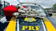 Divulgação/PRF