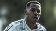 Ivan Storti/Santos FC