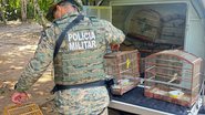 Divulgação / Coppa