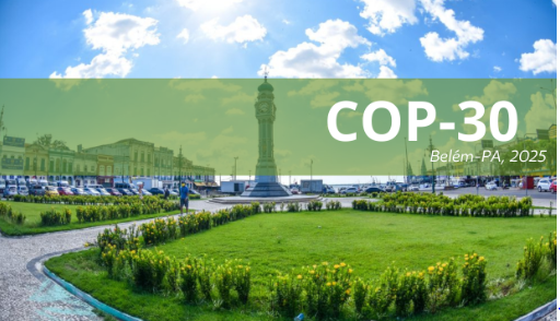 COP30 / Redes Sociais